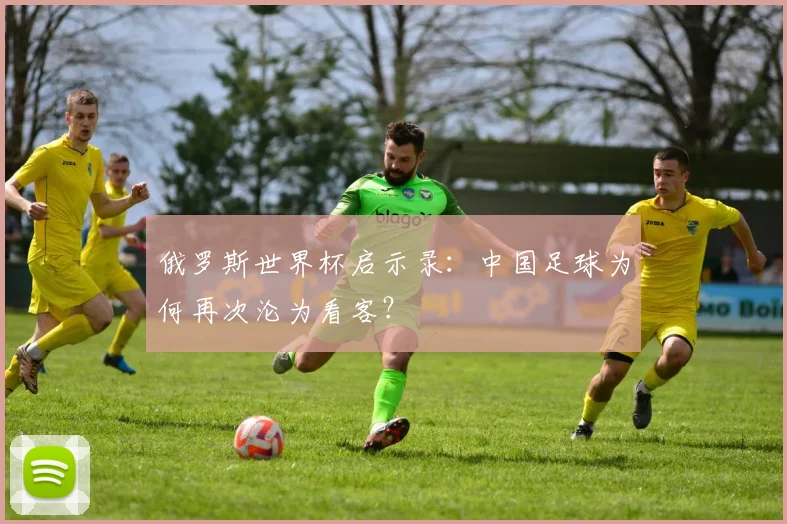 俄罗斯世界杯启示录：中国足球为何再次沦为看客？