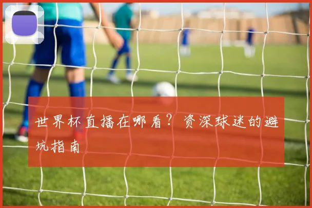 世界杯直播在哪看？资深球迷的避坑指南