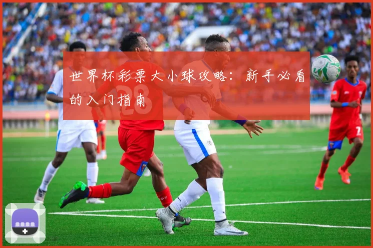世界杯彩票大小球攻略：新手必看的入门指南