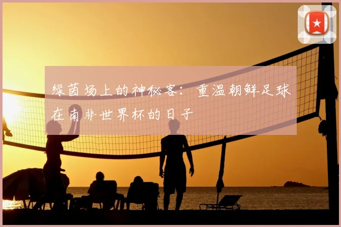绿茵场上的神秘客：重温朝鲜足球在南非世界杯的日子
