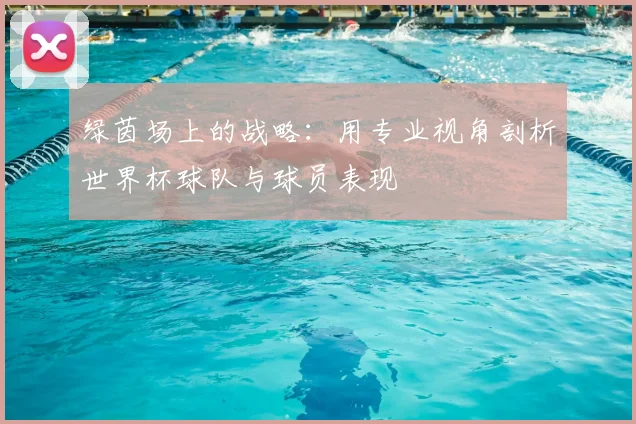 绿茵场上的战略：用专业视角剖析世界杯球队与球员表现