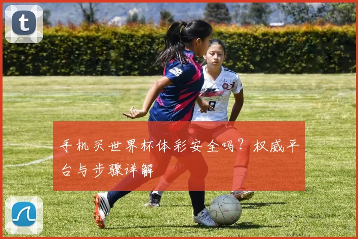 手机买世界杯体彩安全吗？权威平台与步骤详解