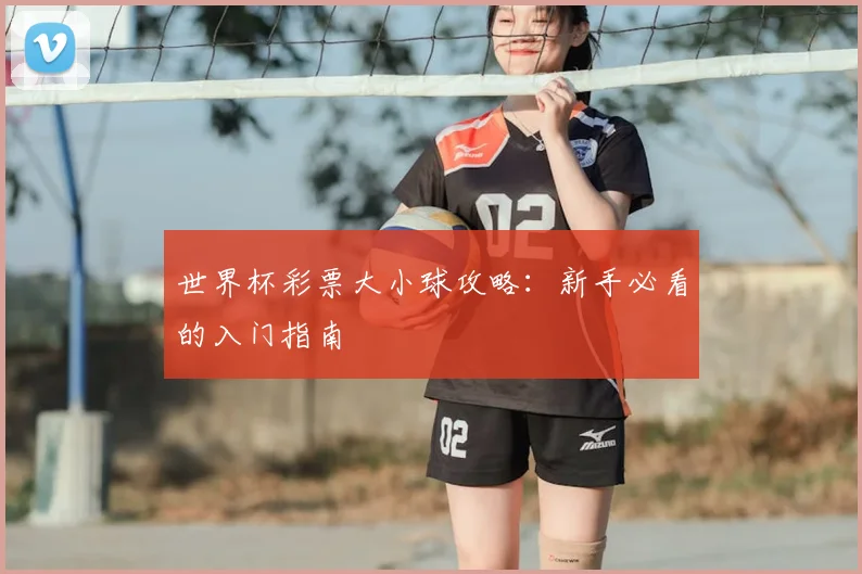 世界杯彩票大小球攻略：新手必看的入门指南