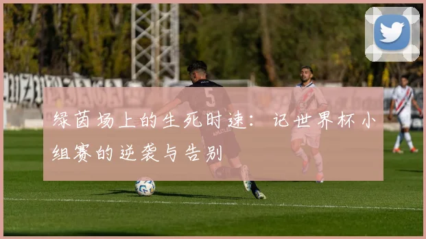 绿茵场上的生死时速：记世界杯小组赛的逆袭与告别