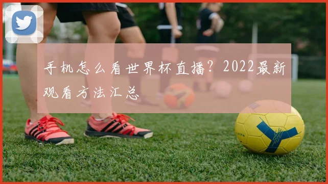 手机怎么看世界杯直播？2022最新观看方法汇总