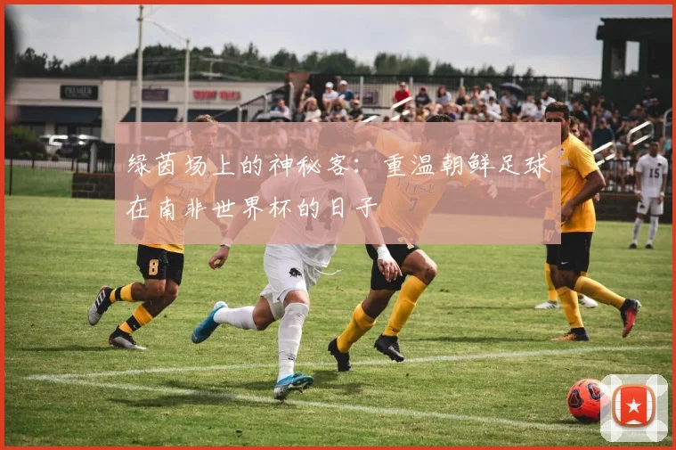 绿茵场上的神秘客：重温朝鲜足球在南非世界杯的日子