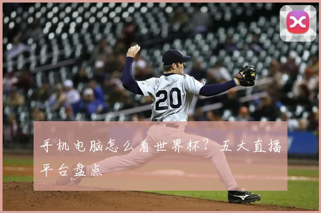 手机电脑怎么看世界杯？五大直播平台盘点