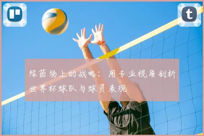 绿茵场上的战略：用专业视角剖析世界杯球队与球员表现